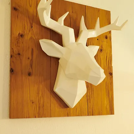 Daire Wildbach Stubai - New *